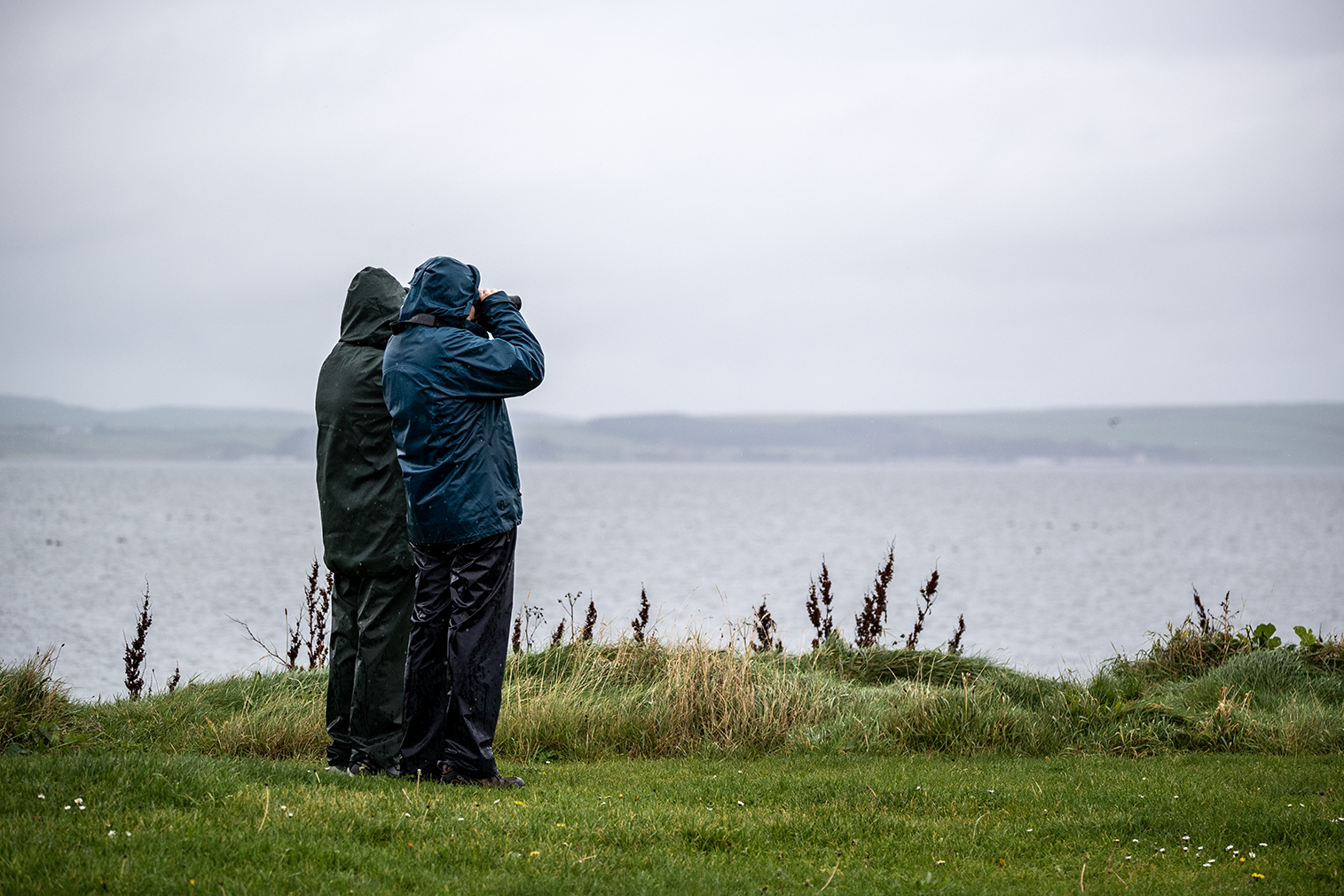 Birdwatchers at Loch Ryan in the Rhins of Galloway