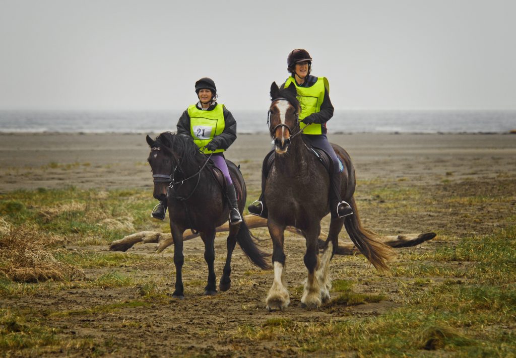 Endurance riding at Glenluce Bay