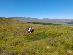 Person looking at the flora at Cairnsmore of Fleet National Nature Reserve