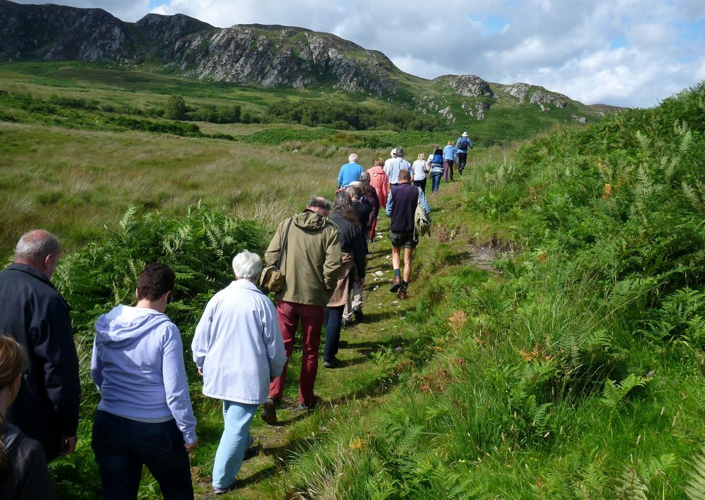 Walkers foreground, Clints of Dromore background.