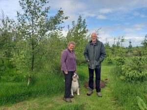 An area planted for wildlife at Little Tahall Farm